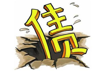 龙岩讨数公司